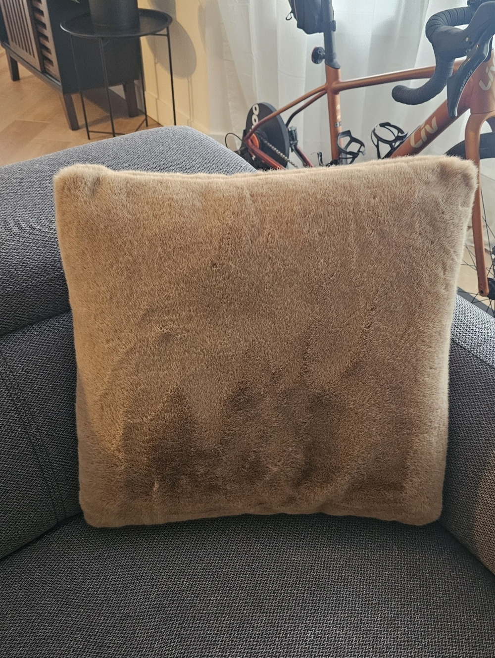 Plush Faux Fur Decorative Throw Pillow - Brown
